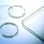 Merck Greiner dishes