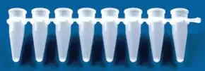 Merck BRAND strips of 8 PCR tubes