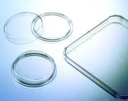 Merck Greiner dishes