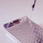 Merck AluminaSeal for cold and PCR storage