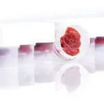 Merck WHEATON CryoELITE wide mouth tissue vial
