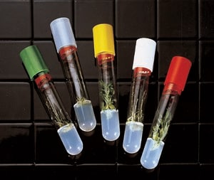 Merck Culture tubes