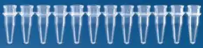 Merck BRAND strips of 12 PCR tubes