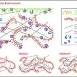 Merck HyStem-C Cell Culture Scaffold Kit