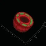 Merck TrueGel3D Hydrogel Kits