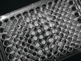 Merck 3D Biotek 3D Insert PCL scaffold