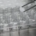 Merck Cellusponge-Galactose