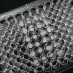 Merck 3D Biotek 3D Insert PCL scaffold