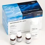 Merck Cell Proliferation Kit I (MTT)
