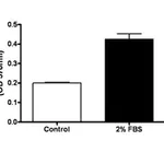 Merck QCM Endothelial Cell Invasion Assay (24 well, colorimetric)