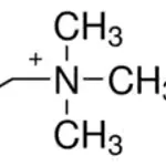 Merck Choline chloride