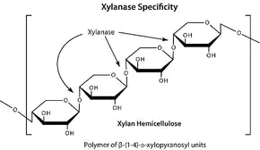 Merck Driselase Basidiomycetes sp.