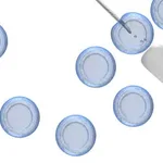 Merck EmbryoMax 2X Freezing Medium for ES Cells, formulated with 20% DMSO & Fetal Bovine Serum
