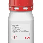 Merck Collagenase from Clostridium histolyticum