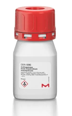 Merck Collagenase from Clostridium histolyticum