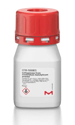 Merck Collagenase from Clostridium histolyticum