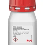Merck Collagenase from Clostridium histolyticum