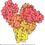 Merck Bovine Serum Albumin solution