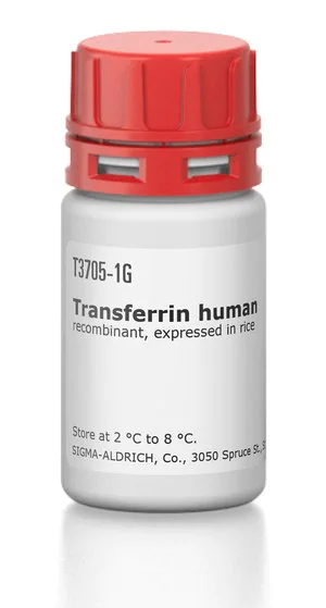 Merck Transferrin human