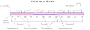 Merck Bovine Serum Albumin