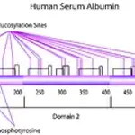 Merck Albumin from human serum