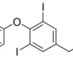 Merck L-Thyroxine