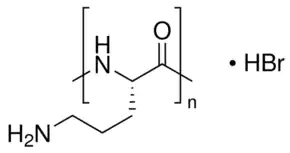 Merck Poly-L-ornithine solution