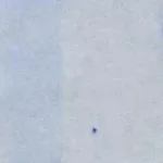 Merck Chicken Extracellular Chondroitin Sulfate Proteoglycans