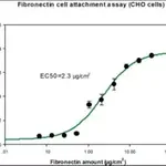 Merck Fibronectin human