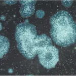 Merck PluriSTEM-XF Recombinant Vitronectin