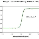 Merck Nidogen-1 (NID1) human