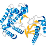 Merck Serine Phosphopeptide (RRApSVA)