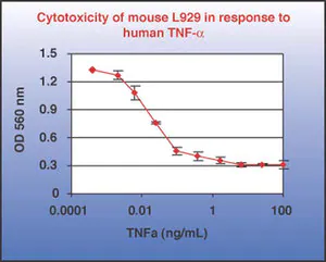 Merck Tumor Necrosis Factor-α Protein, Recombinant human