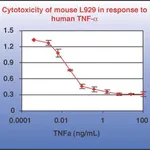 Merck Tumor Necrosis Factor-α Protein, Recombinant human