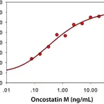 Merck Oncostatin M human