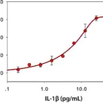 Merck Interleukin-1β from mouse