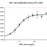 Merck Stem Cell Factor human