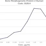 Merck Bone Morphogenetic Protein 2 human