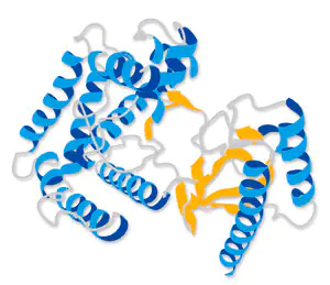 Merck Heregulin-β3, Epidermal growth factor (EGF) domain
