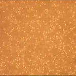 Merck Human Peripheral Blood Monocytes: HPBM