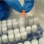 Merck CHOZN CHO K1 Host Cell Line
