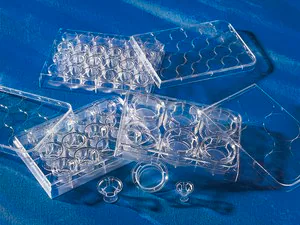 Merck Corning Costar Transwell cell culture inserts