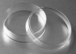 Merck Corning non-treated culture dishes