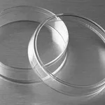 Merck Corning non-treated culture dishes