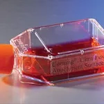 Merck Corning Ultra-Low attachment cell culture flasks