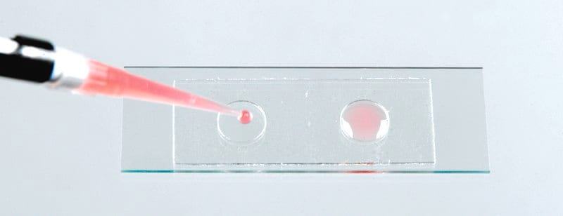 Merck Microscope slide wells, 2-wells