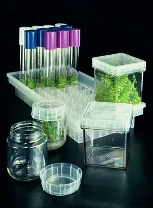 Merck Magenta vessel