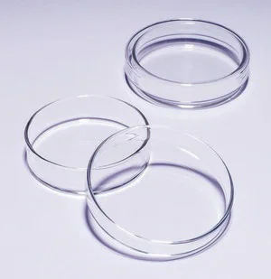 Merck Pyrex Petri dish