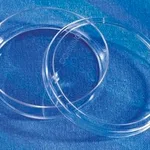 Merck Corning non-treated culture dishes