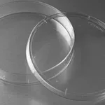 Merck Corning tissue-culture treated culture dishes